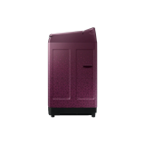 Samsung WA80N4760FE 8 Kg Fully Automatic Top Load Washing Machine | Ombre Plum