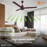 Ecotech | Prime WR | 1200mm | BLDC |  Remote Ceiling Fan | Brown