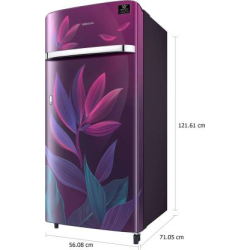 SAMSUNG 198 L Direct Cool Single Door 5 Star Refrigerator-RR21T2G2W9R/HL | Paradise Purple