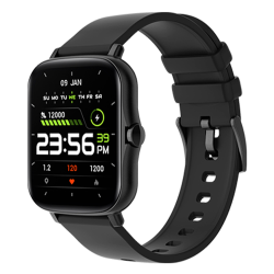 Fire-Boltt Beast Pro Smartwatch | BSW016 | Black