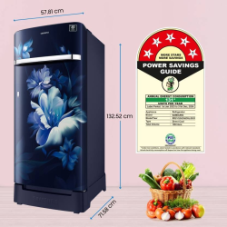 SAMSUNG Direct Cool Single Door Refrigerator | 189 L | 5 Star | Midnight Blossom Blue | RR21C2H25UZ/HL