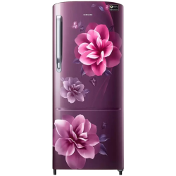 SAMSUNG 192 L Direct Cool Single Door 3 Star Refrigerator | RR20A172YCR/HL | Camellia Purple