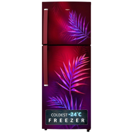 Whirlpool Frost Free Double Door | 235 L | 2 Star Refrigerator | Wine Palm | NEO 278LH PRM