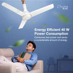 Havells Crista BLDC Motor Ceiling Fan | 1200 mm | Premium Finish with RF Remote | Low Noise 55dB | Pearl White Light Copper