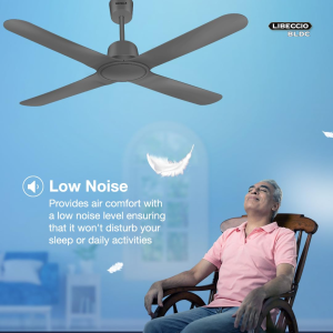 Havells Libeccio Bldc Motor Ceiling Fan | 1200mm | 5 Stars | Slate