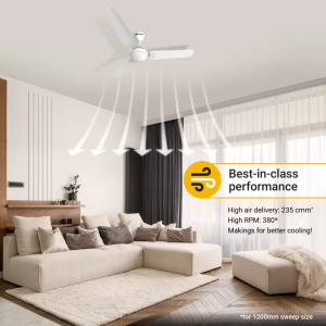 Atomberg Efficio Ceiling Fan with Remote | 3 Blade | 1200 mm | BLDC Motor | White