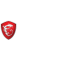 MSI